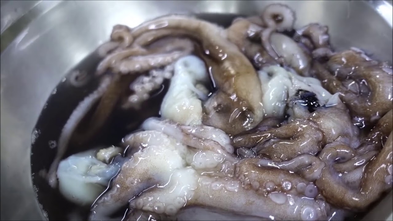 PEMBUATAN MAKANAN SAN NAKJI DARI GURITA HIDUP!!! 