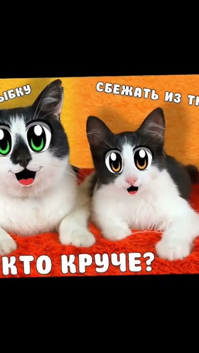 Анука давайка - YouTube