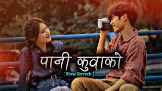 Pani Kuwako 💗💐 New Nepali Romantic Song - [Slow Reverb] -Ft. Bimal & Garima - lofi