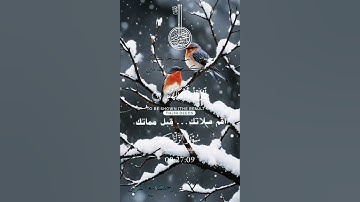 تلاوة خاشعة عطرة مباركة جميلة عذبة للشيخ سعد الغامدي سورة الزلزلة