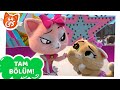 44 Kedi | 46. Bölüm - Pembe Patiler! [TAM BÖLÜM]