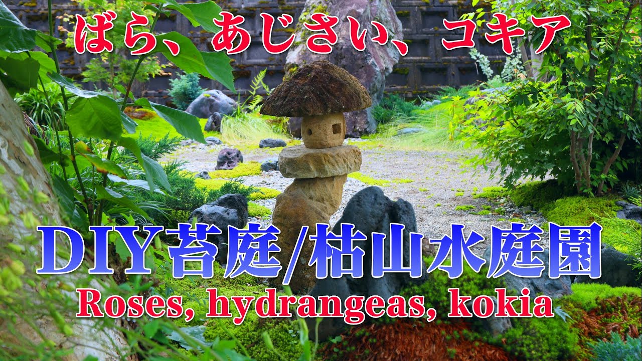 4k Diy苔庭の隣に薔薇を植え洋風の庭を作りました I Planted Roses Next To The Moss Garden To Create A Western Style Garden Youtube