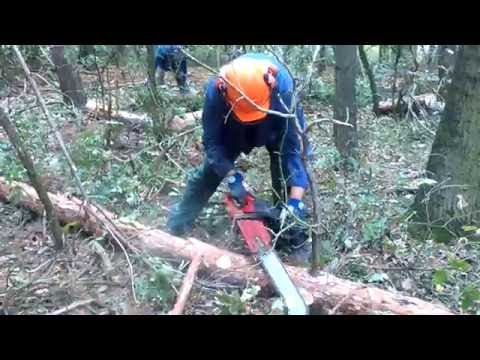 Video: Jak Používat Dřevo, Ale Ne Stromy