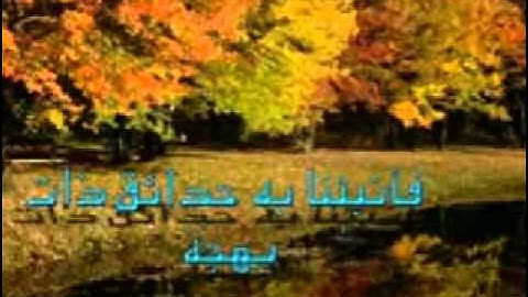 الرقيه الشرعيه شهاب ثاقب على الجان الطيار الشيخين خالد الحبشي وحمد العجمي ج4