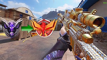 Locus + attachments…