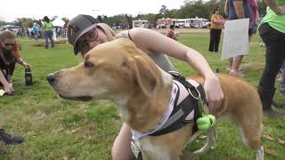 THANK YOU FOR COMING PAWS IN THE PARK