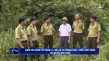 Kiểm tra công tác bảo vệ rừng, phòng cháy chữa cháy rừng huyện Như Xuân năm 2019