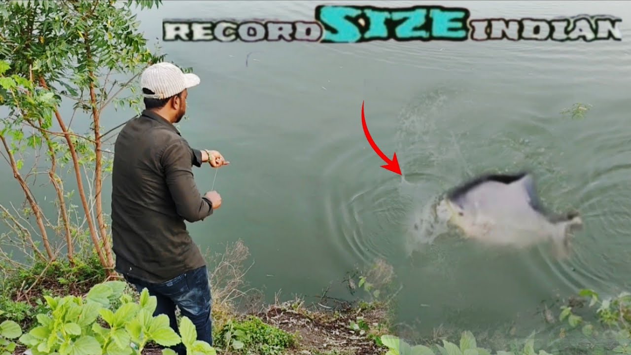 fishing monster big size single hook #Altaf fishing #viral video - YouTube
