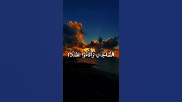 يمحق الله الربا ويربي الصدقات والله لا يحب كل كفار أثيم | الآية 276 من سورة البقرة