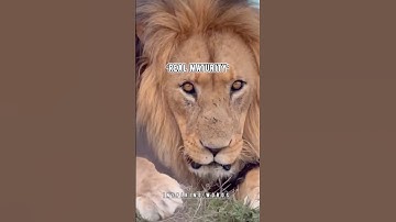 “Protect your time, energy, and peace—they’re priceless.” || Motivational #shorts #motivationdaily