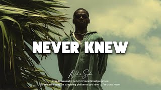 Afrobeat Instrumental 2025 Burna Boy ft Omah lay Type Beat "NEVER KNEW" Emotional Afrobeat Type Beat