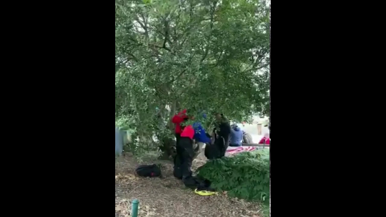 Antifa changing into MAGA gear on Jan. 6
https://www.youtube.com/watch?v=5v_4_LT-QdY&t=35s