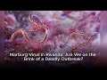 Marburg Virus in Rwanda: Are We on the Brink of a Deadly Outbreak?