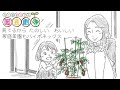 第2話:🍅育てるから、たのしい、おいしい🥢家庭菜園もハイポネックス🍅【ハイポネックス園芸劇場🌱】