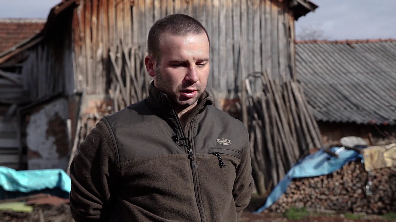 Autohtone vrste Srbije ep. 52 05.03.2020. - Srpski žuti gonič