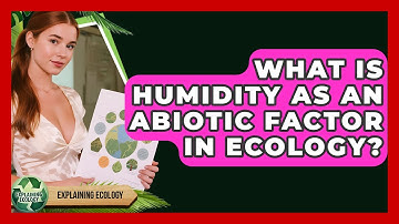 What Is Humidity As An Abiotic Factor In Ecology? - Explaining Ecology