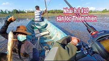 Câu Cá Lóc Bằng Nhái Hơi P10.Lure Cá Lóc Ở Việt Nam Bằng Nhái Hơi Mồi Mềm Trị Cá Nhát|Đại Ngáo Vlog.