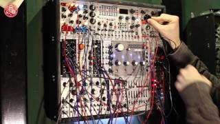 Xaoc Devices Belgrad - Eurorack Module on ModularGrid