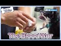 The Blood War😱🩸 [Dogs are incredible : EP.192-3] | KBS WORLD TV 231107