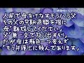 【修羅場】父「こいつブスでしょ?お宅の奥さんが羨ましいですよ!」母「...」モラハラ父の早期退職をきっかけに母「離婚してください」父「そんな事したら無一文で放り出すぞ!」だが母は顔色一つ変えず...
