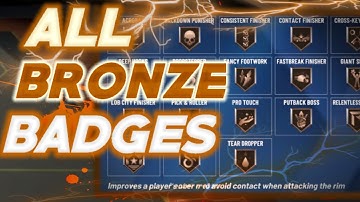 USING ALL BRONZE BADGES IN NBA2K20 WITH THE INTERIOR FORCE!BADGE CHALLENGE!