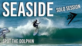 Firewire - Rob Machado Seaside Surf Session + Dolphin Sighting!