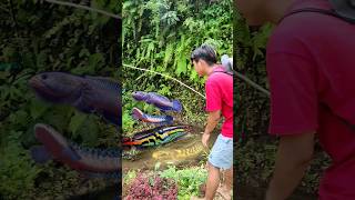 MANG UNI MAMCING IKAN CHANNA BESTIE DI SPOT YANG BAGUS