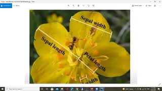 logistic regression in python and data analysis example شرح عربي