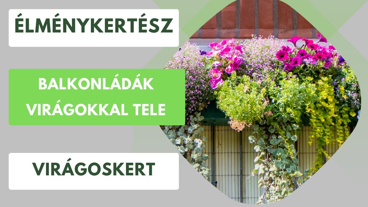 Balkonládák virágokkal🌼