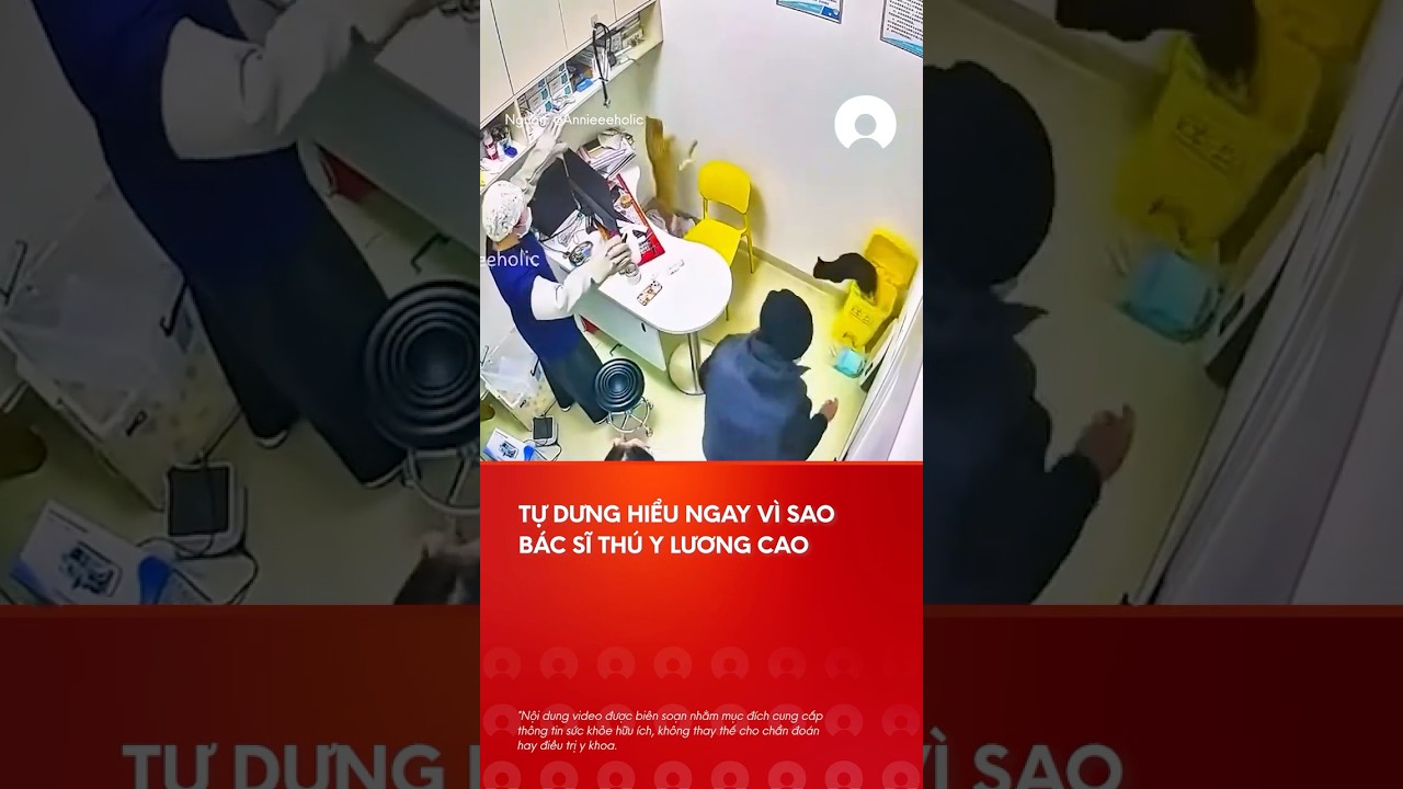 Coi clip hiá»ƒu sao bÃ¡c sÄ© thÃº y lÆ°Æ¡ng cao luÃ´n #shorts #xuhuongyoutube