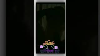 Savitribai Phule Jayanti  savitribai savitribai phule savitribaiphulejayanti shorts jayanti