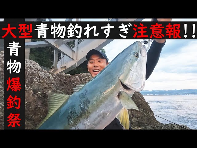 Shore jigging [miracle] Can you catch so many large bluefish so