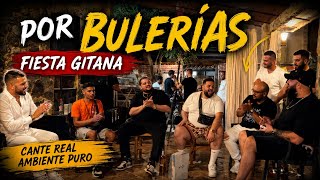 🔥Titi de Alicante, Miguelito el Pin , José de los Fernández y Mario king cantando por bulerías 2026🔥