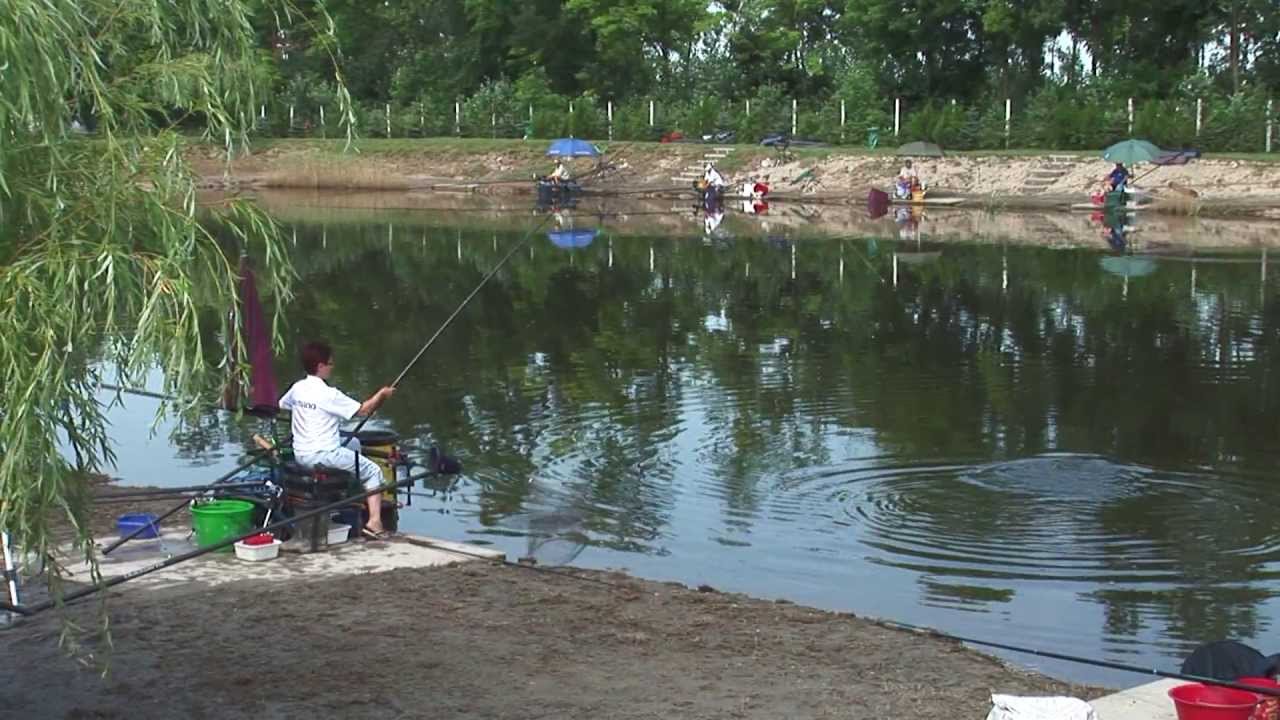 TIMÁR MIX / HOROGRA AKADVA TV AFTER 50 KUPA 2013