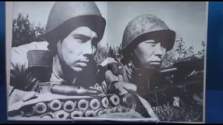 Книжная выставка Книжная выставка