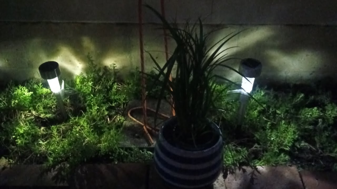 Cheap Solar Lights Wal-Mart vs Dollar Tree Part 2 🔦🤗