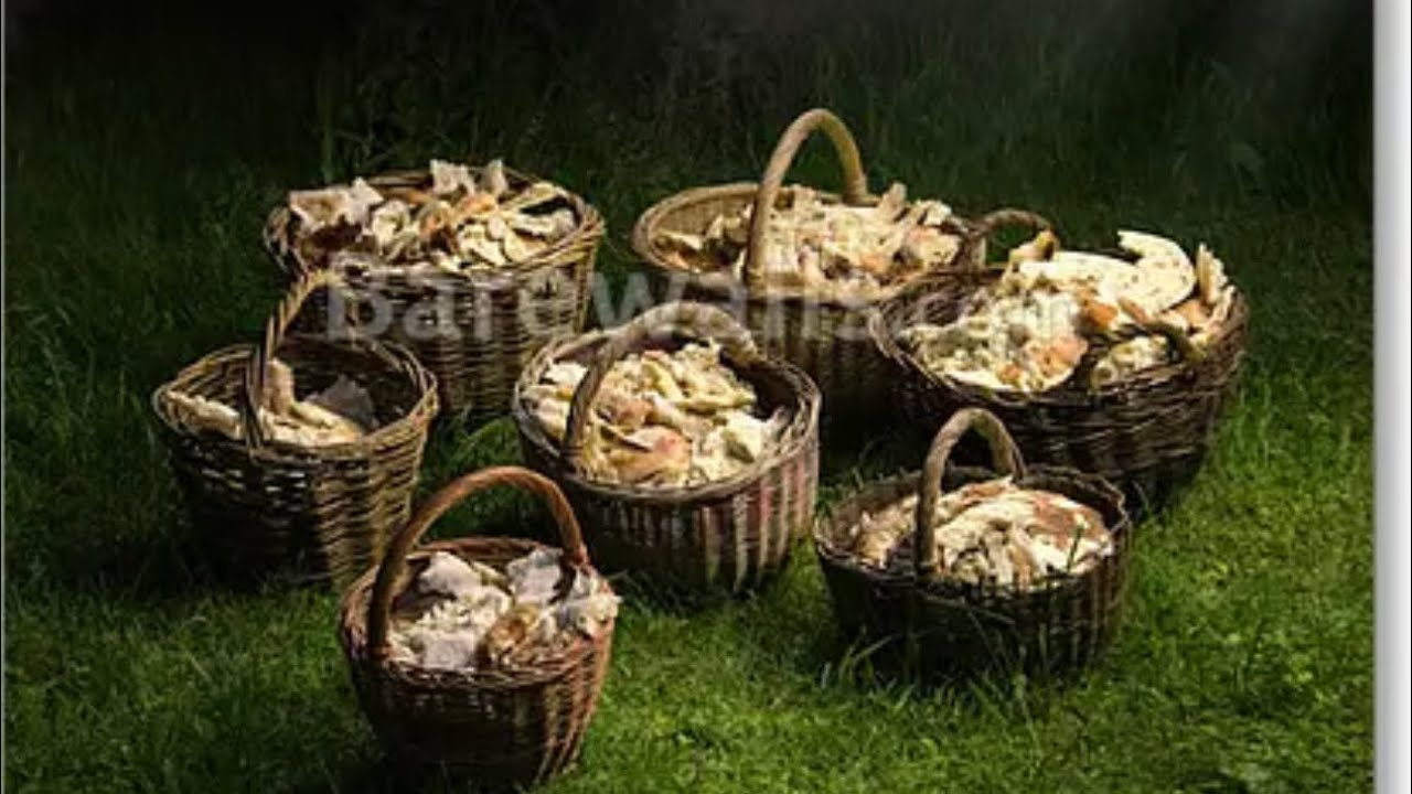 The “leftovers” are from a place of OVERFLOW 🥖🥖 …. Accept it, it’s been touched by The Lord.