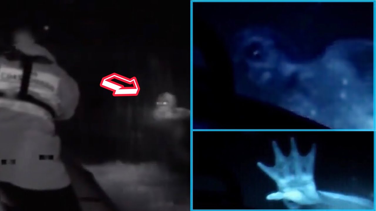 2 real footage of Merman / Mermaid