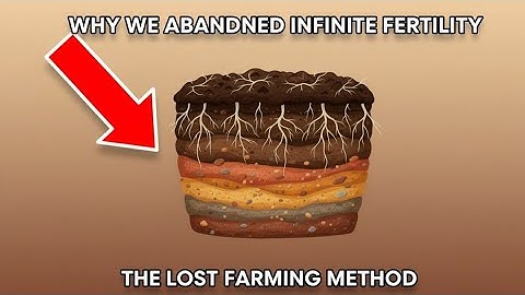 One Method Creates Infinite Soil Fertility Why Did We Stop Using It?