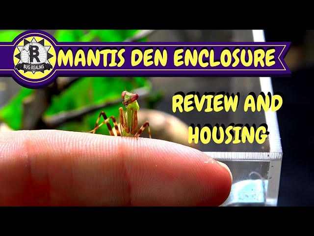 NEW ENCLOSURE DESIGN by MANTIS DEN! - REVIEW AND HOUSING! class=