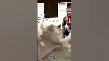 صباح الشرقيهههههه 