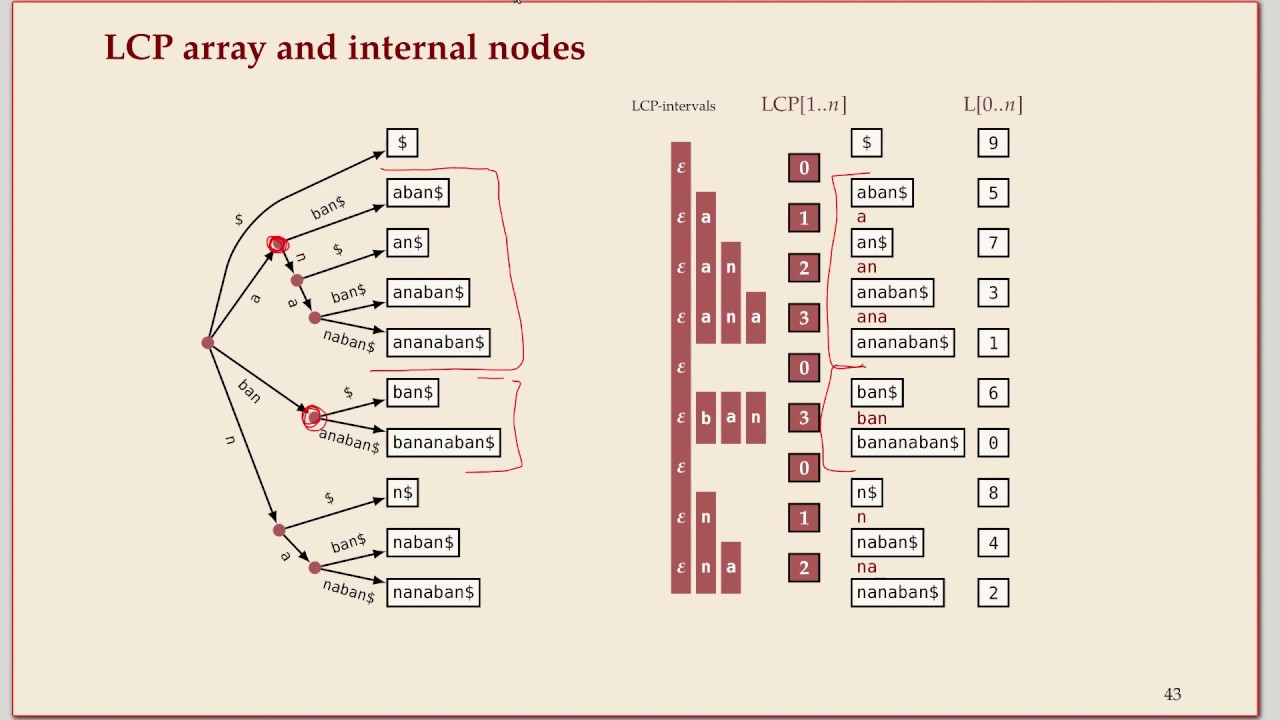 COMP526 Unit 6-7 2020-03-17 Text Indexing: LCP array - YouTube