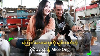 ကြောင်လေးတွေကို ချစ်တတ်တဲ့ ပိုင်တံခွန် နဲ့ Alice Ong