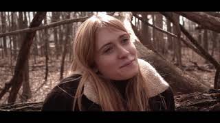 The Stray Trailer 2016
