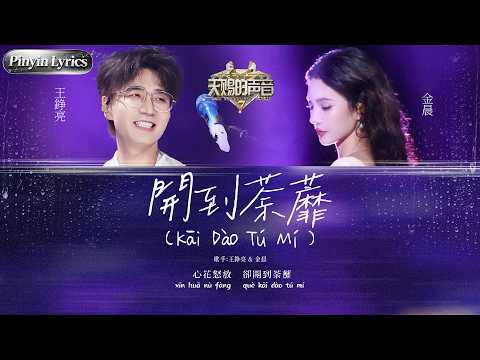 【Pinyin Lyrics】王錚亮孖金晨《開到荼蘼》張力爆燈！手風琴撞正弗拉明戈 視聽衝擊力推到頂！ #天賜的聲音 EP12 20260909