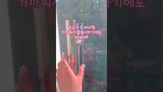 Pacifico Seaside Lodge | standard room | outdoor view | 눙수수로그 | 파시피코 씨사이드 로지 | 스탠다드룸 | 아웃도어뷰 | 눙수수로그