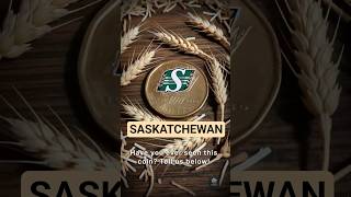 1 Dollar 2010 - 1 Dollar - Elizabeth II #Saskatchewan Roughriders | N°15657 #Canada #coin #numista