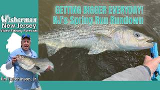 March 26th, 2026 New Jersey/Delaware Bay Fishing Report with Jim Hutchinson, Jr.