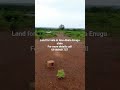 Affordable Land in Enugu state#realestate#property#viralshorts#fyp#europe#trending#africarealestate