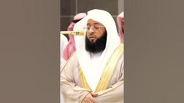 تلاوة مباركة خاشعة بصوت يلامس القلوب #القران #اكسبلور #المصحف #حالات_واتس #حالات_واتساب #خطبه #لايك